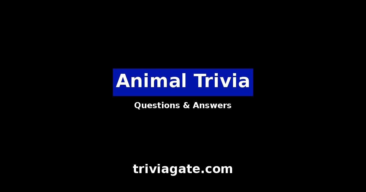 Animal trivia image